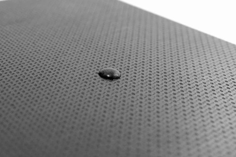 IMG_8455.JPG